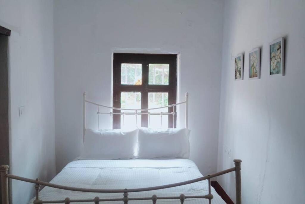 A Quaint Cottage With Rajah'S Seat View. Madikeri Ngoại thất bức ảnh